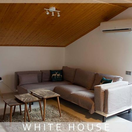 فيلا White House تبليسي المظهر الخارجي الصورة